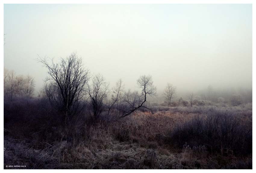 Early Morning Frost post image