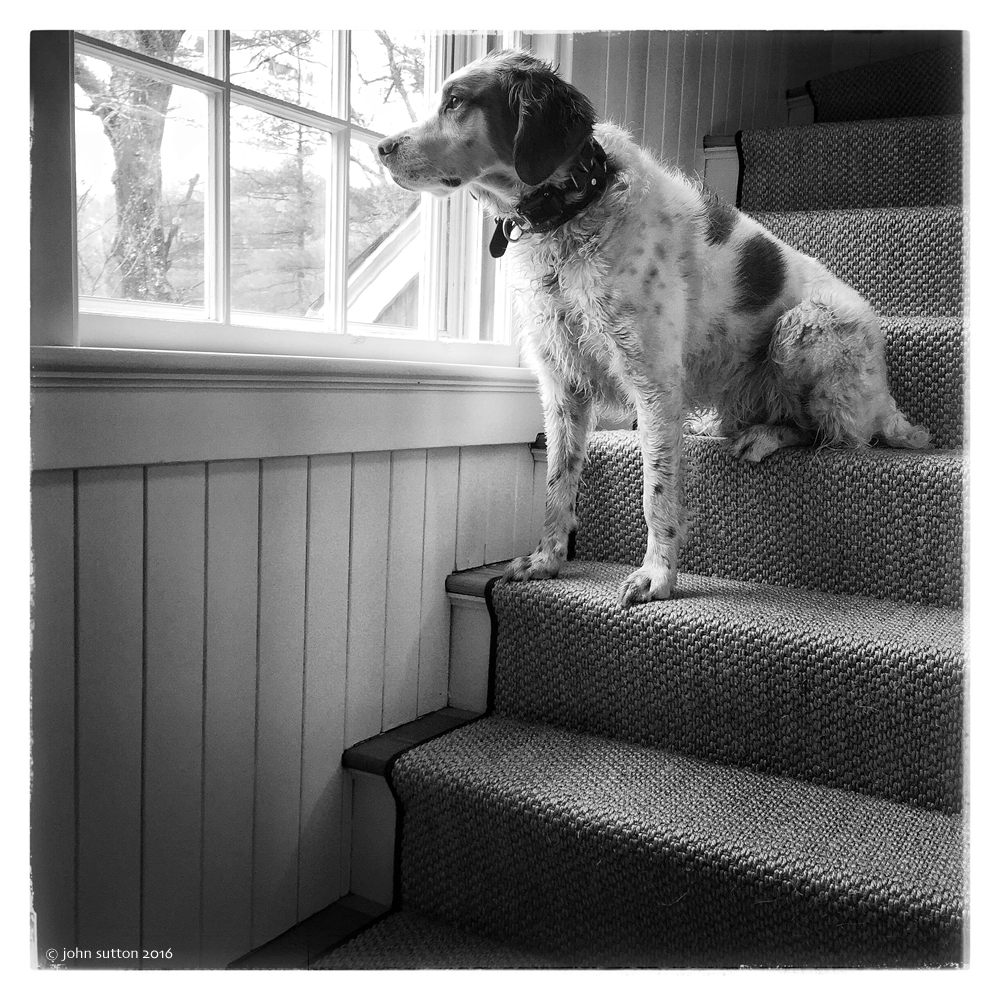 Bode Speaks post image