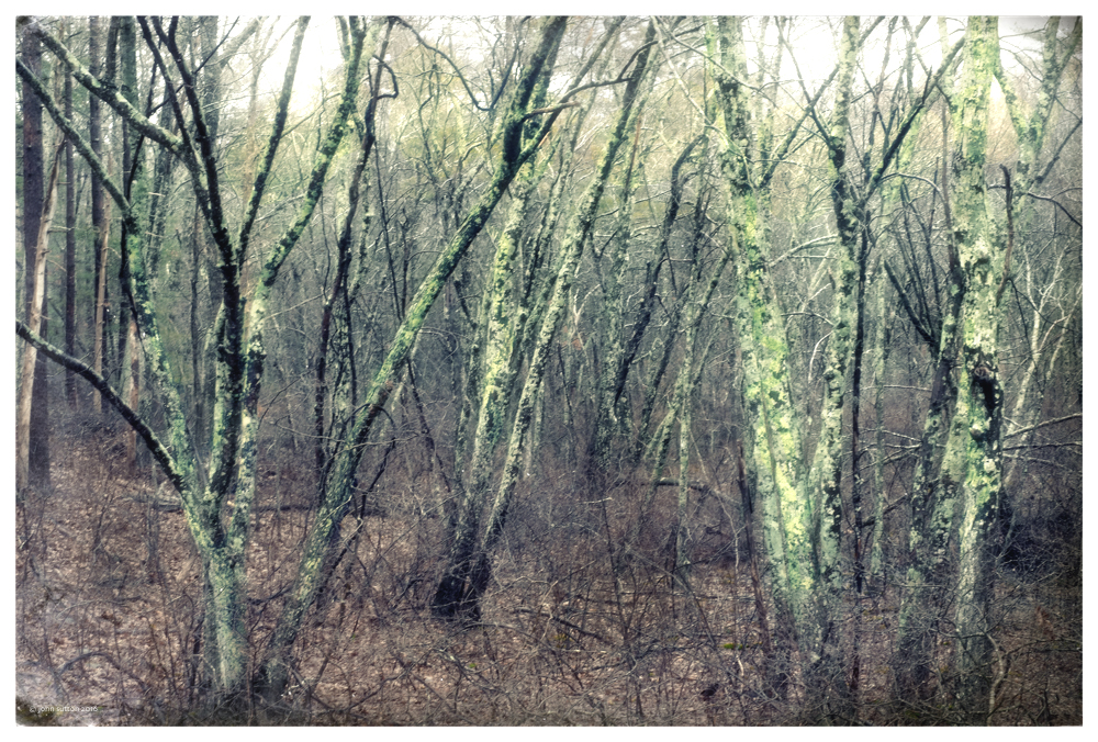 One Morning post image