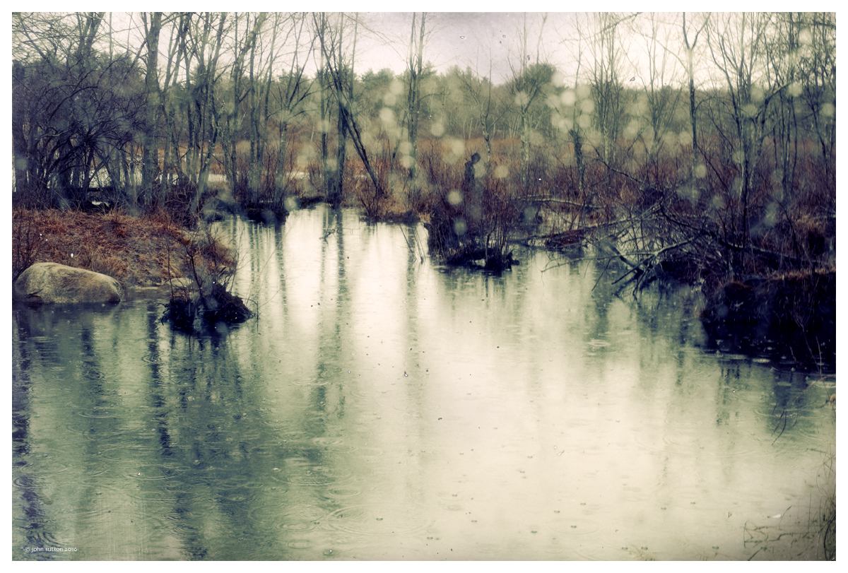Rain… post image