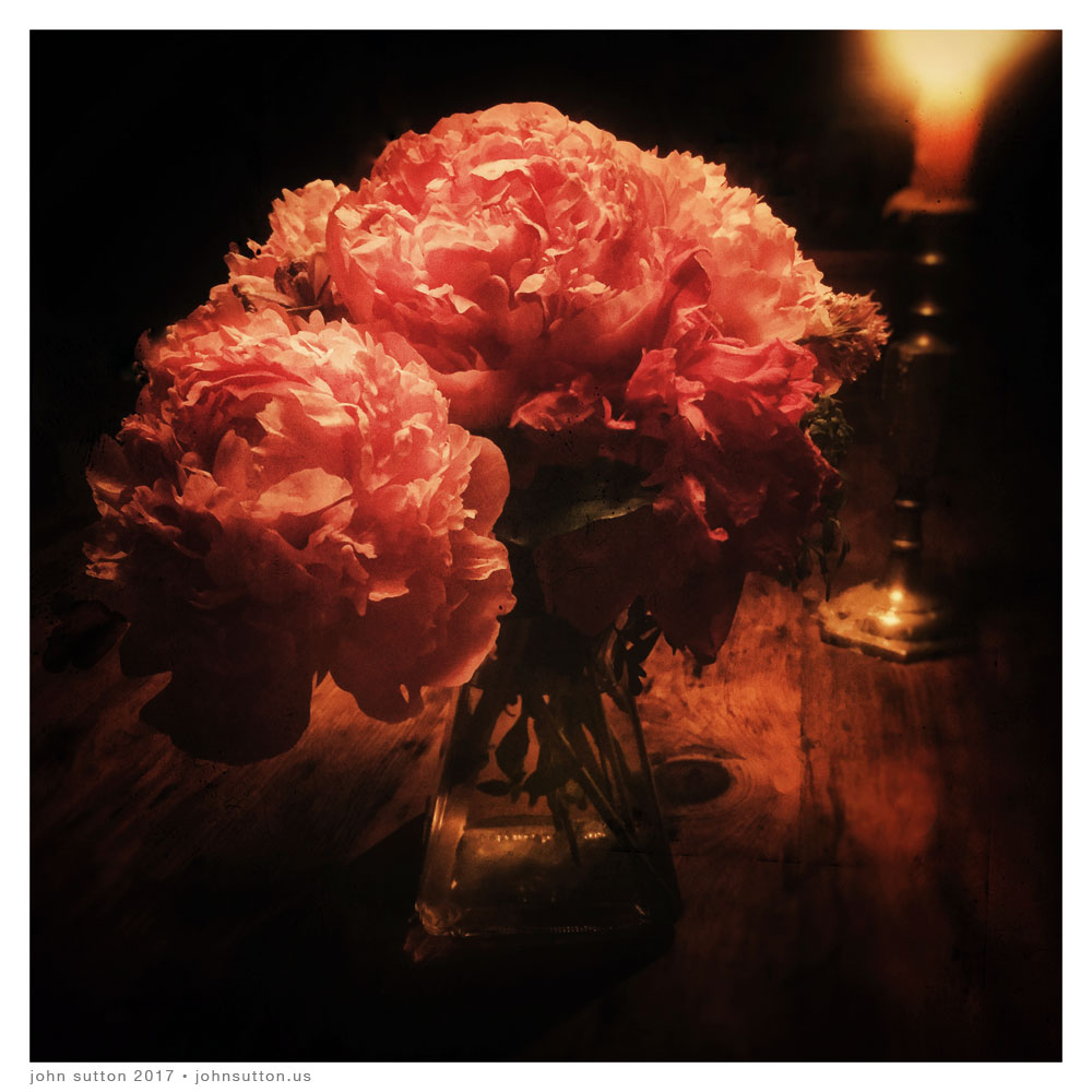 Peonies post image