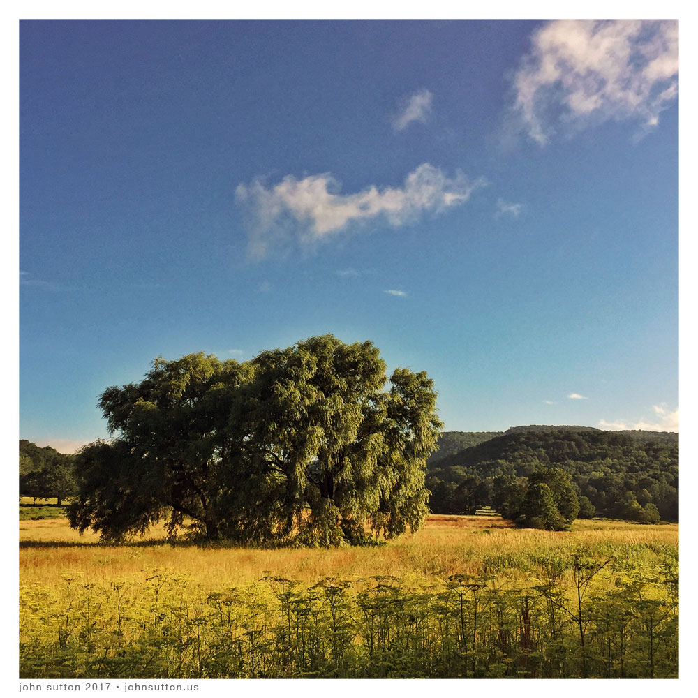 Shaftsbury Field post image