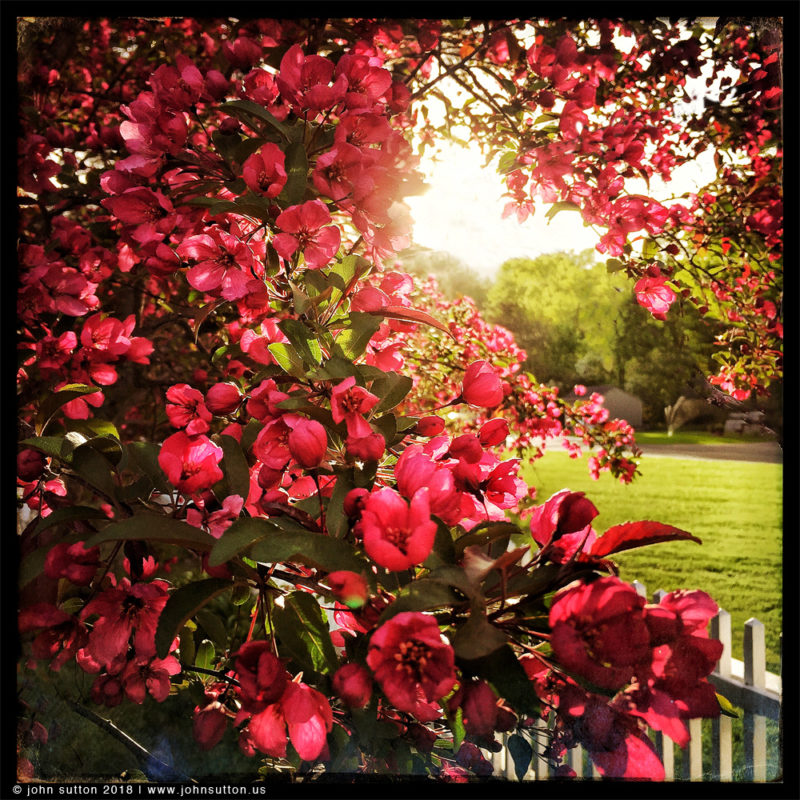 Red post image